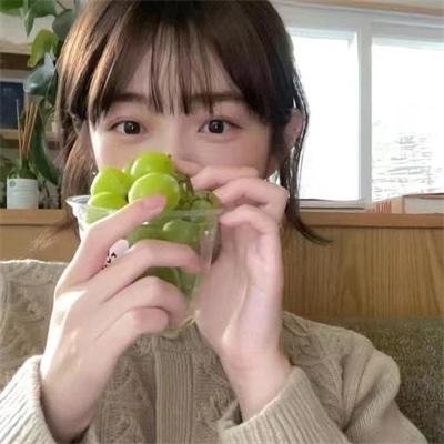 盒子里的猫 第二季